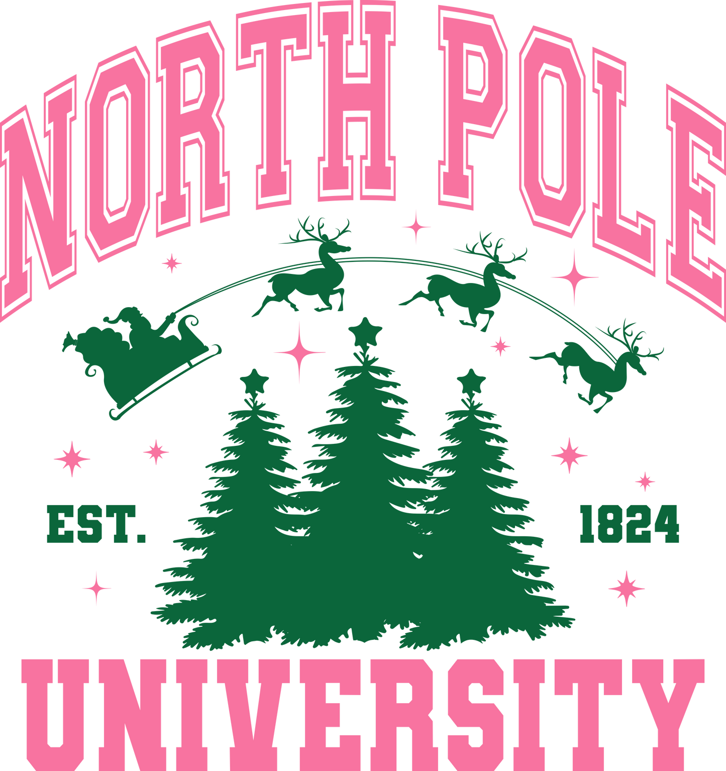 DTF North Pole University
